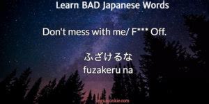 fuck in japanese|100 Curses and Insults in Japanese